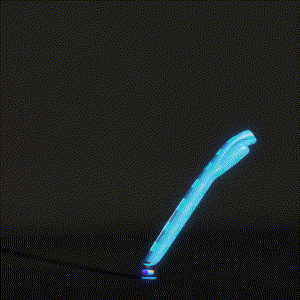 wacky_dude_tubes: 5500