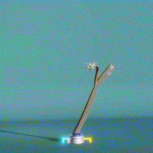 wacky_dude_tubes: 5435