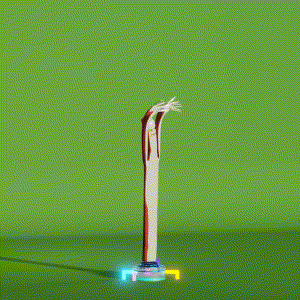 wacky_dude_tubes: 8592