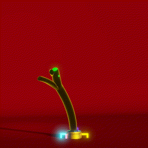 wacky_dude_tubes: 2906