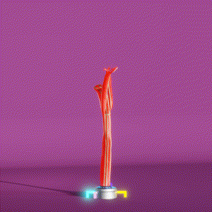 wacky_dude_tubes: 1371