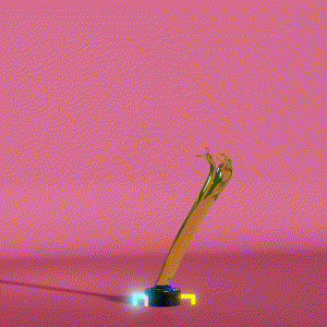 wacky_dude_tubes: 3732