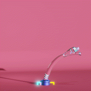 wacky_dude_tubes: 3976