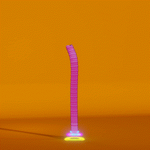 wacky_dude_tubes: 8998