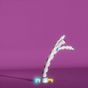 wacky_dude_tubes: 4039