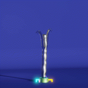 wacky_dude_tubes: 6552
