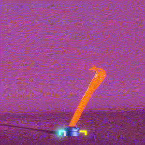 wacky_dude_tubes: 2552