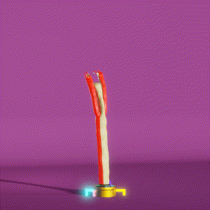 wacky_dude_tubes: 2081