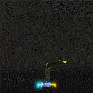 wacky_dude_tubes: 7167