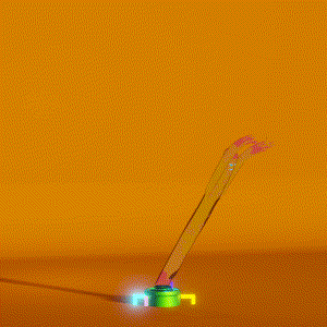 wacky_dude_tubes: 4699