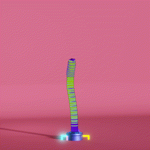 wacky_dude_tubes: 2841