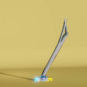 wacky_dude_tubes: 8868