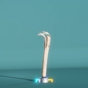 wacky_dude_tubes: 555