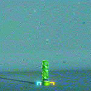 wacky_dude_tubes: 2585