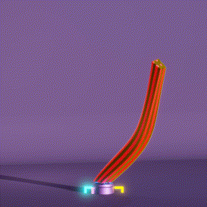 wacky_dude_tubes: 2097