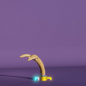 wacky_dude_tubes: 9233