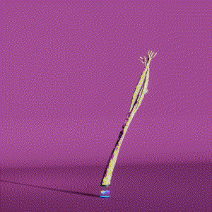 wacky_dude_tubes: 6907