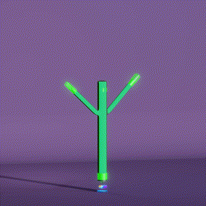 wacky_dude_tubes: 2296