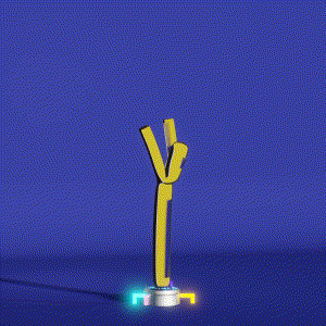 wacky_dude_tubes: 6292