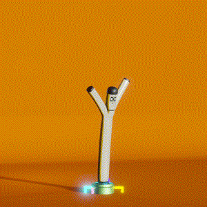 wacky_dude_tubes: 8336