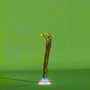 wacky_dude_tubes: 3181