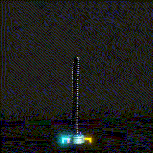 wacky_dude_tubes: 2170