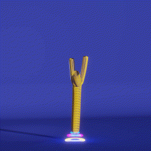 wacky_dude_tubes: 6540