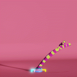 wacky_dude_tubes: 7725