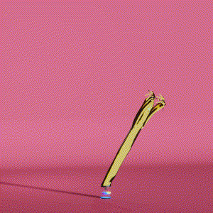 wacky_dude_tubes: 4063