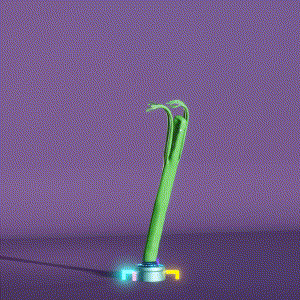 wacky_dude_tubes: 3571
