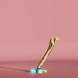 wacky_dude_tubes: 4542