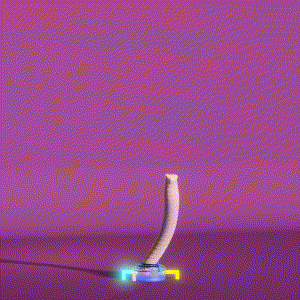 wacky_dude_tubes: 5171