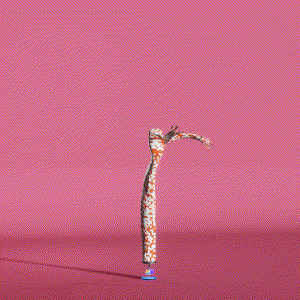 wacky_dude_tubes: 80