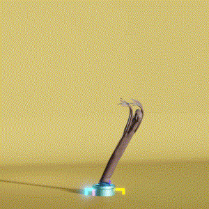 wacky_dude_tubes: 8391