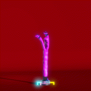 wacky_dude_tubes: 9842