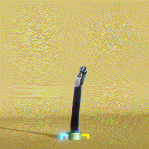 wacky_dude_tubes: 8261