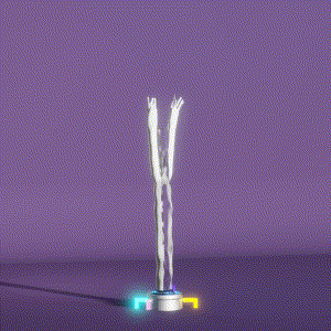 wacky_dude_tubes: 206