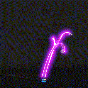 wacky_dude_tubes: 7303