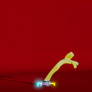 wacky_dude_tubes: 1351