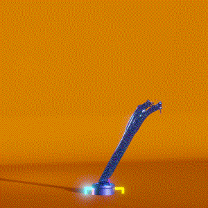 wacky_dude_tubes: 4443