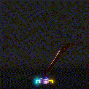 wacky_dude_tubes: 8632