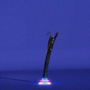 wacky_dude_tubes: 234