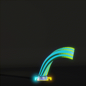 wacky_dude_tubes: 4916