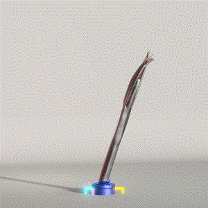 wacky_dude_tubes: 2804
