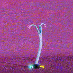 wacky_dude_tubes: 4979