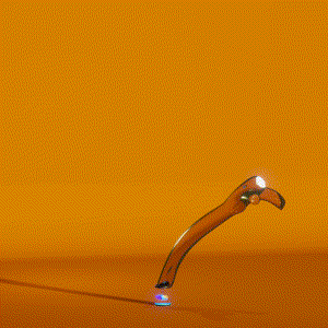 wacky_dude_tubes: 441