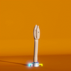 wacky_dude_tubes: 9989