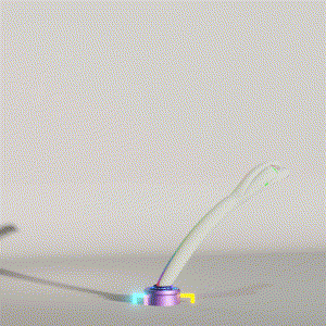 wacky_dude_tubes: 3141