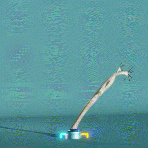 wacky_dude_tubes: 43