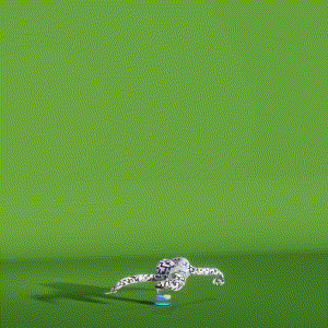 wacky_dude_tubes: 1076